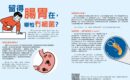 幽門螺旋菌, 腸胃炎, 細菌
